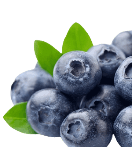 Home pharmacy essentials