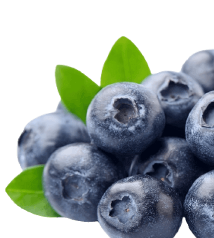 Home pharmacy essentials